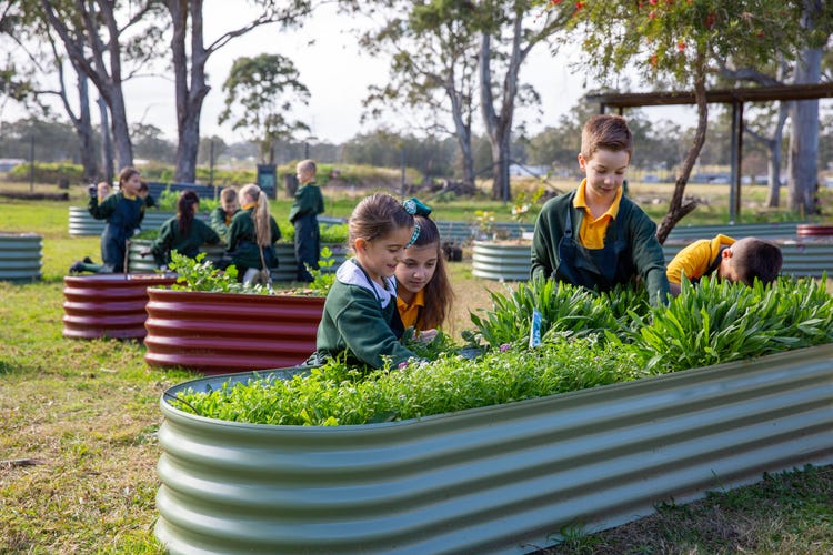 Students kneeling at raise gadren beds during evironmental education lesson.
