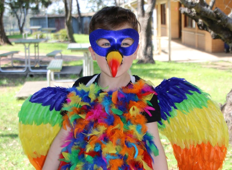 Student dressed as a bird with colourful wings.